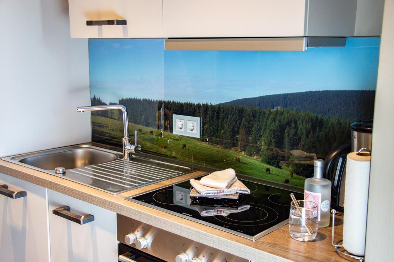 Strandberg'S Stadt Chalet Braunlage Exterior photo